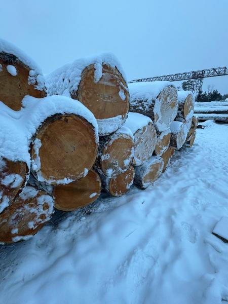 Кедр сибирский кругояк,  доска,  брус от производителя. — фото 2